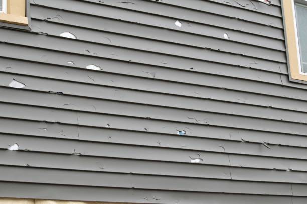 Best Fiber Cement Siding Installation  in Haw River, NC